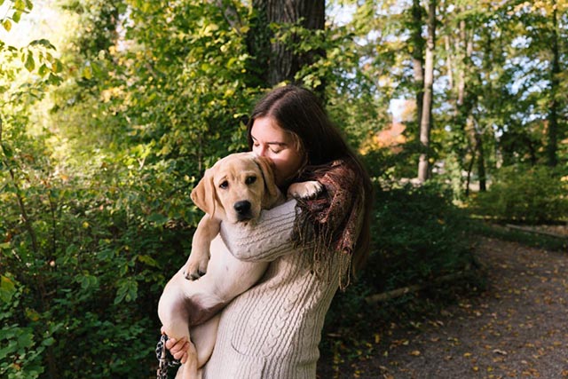 Fixing labrador retriever anxiety with cbd oil