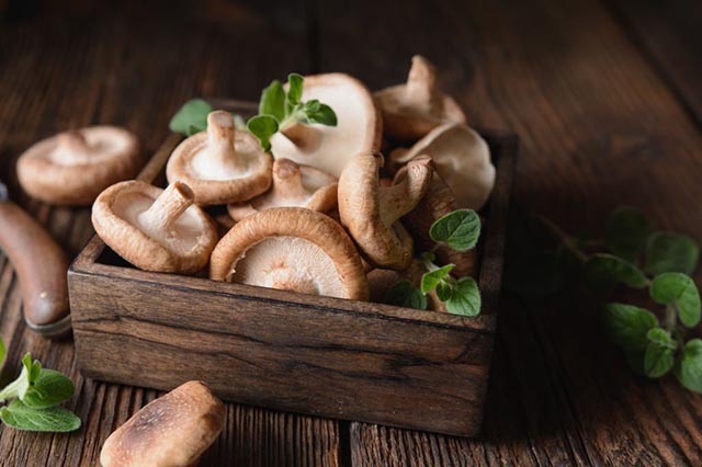 best healthy mushrooms