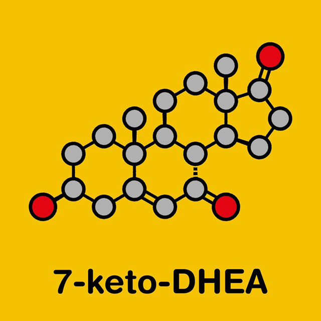 7-Keto-DHEA molecule
