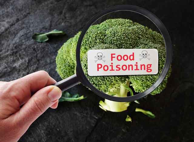 Infographic Food poisining and probiotics