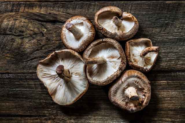 Champignons Shiitake