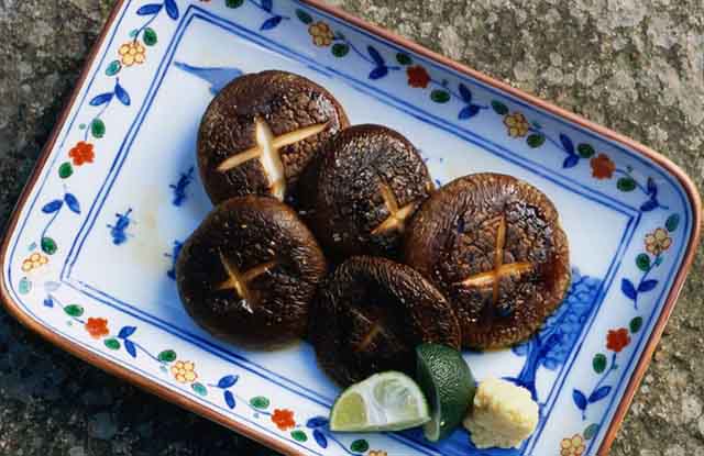 bienfaits du champignon shiitake